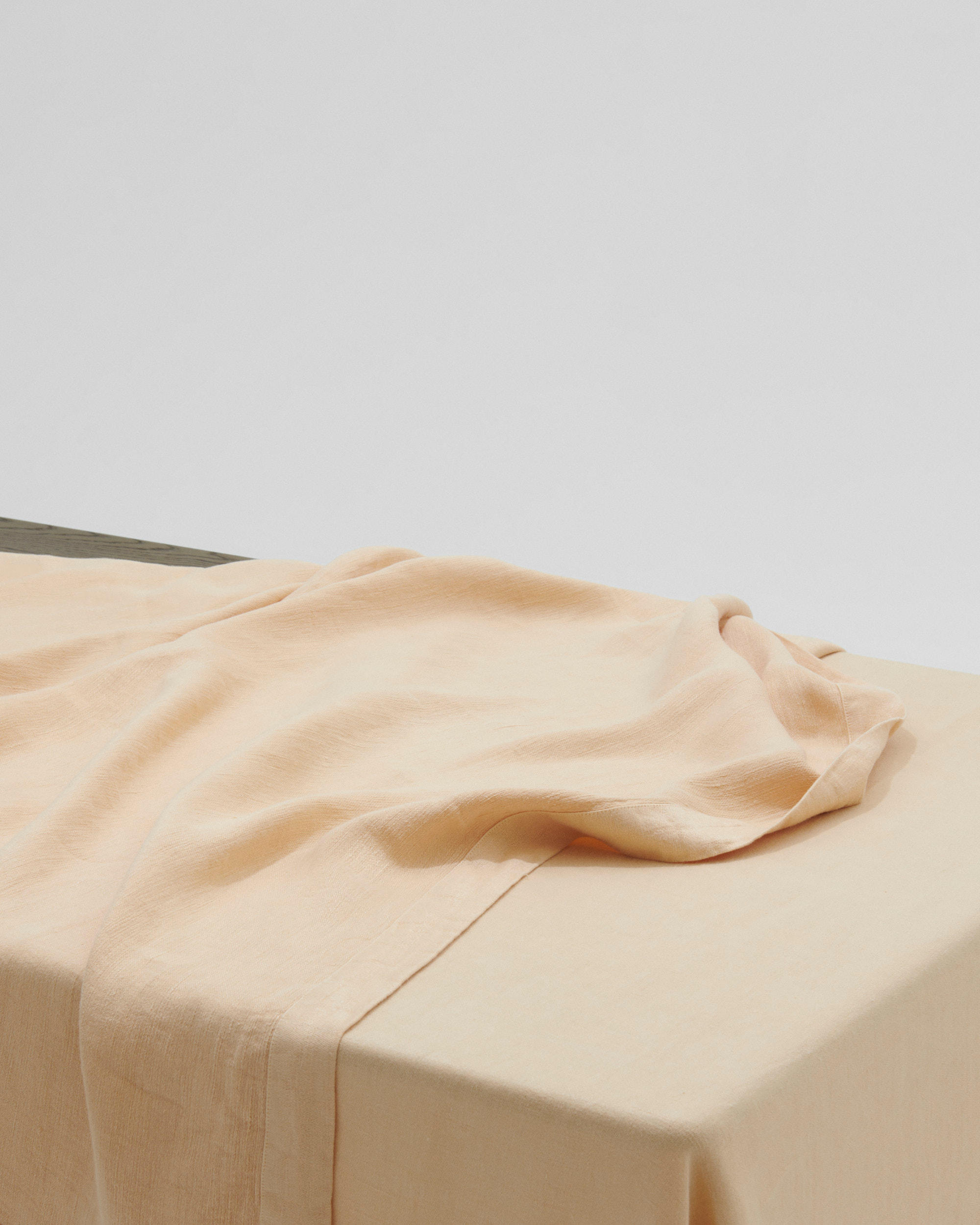 Tablecloth – Apple Core
